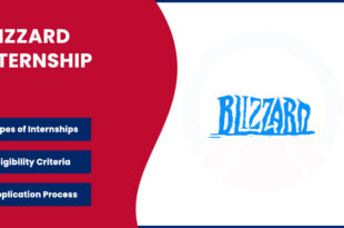 Blizzard Internship