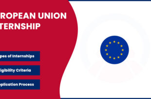 European Union Internship