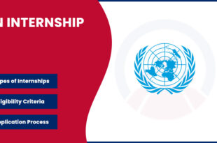 UN internship